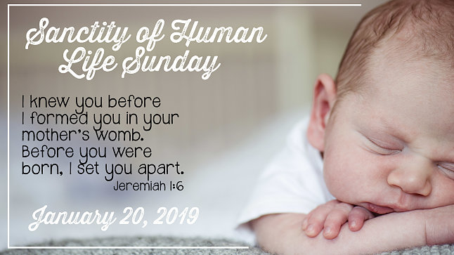 Arkansas Baptist State Convention · Events · Sanctity of Human Life Sunday